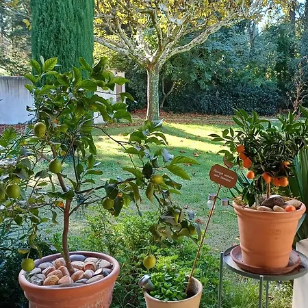 La Goutadou Bed & Breakfast *